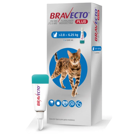 [77] Antiparasitario Bravecto Plus De 2.8 A 6.25Kg Para Gatos 1 Pipeta