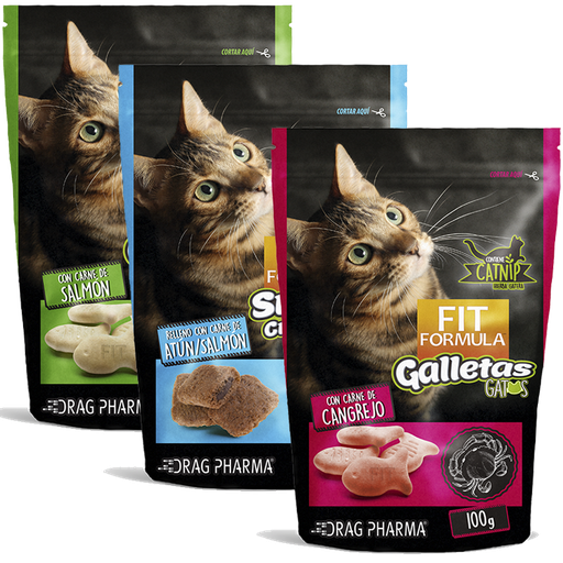 Fit Formula Snack Galleta Gato 100G