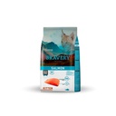 Bravery Kitten Salmon 2kg