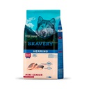 Bravery Mini Senior Dog Herring