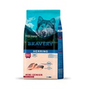 Bravery Mini Senior Dog Herring