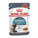 Pack 2x1 Royal Canin Hairbail Cat Pouch 85G